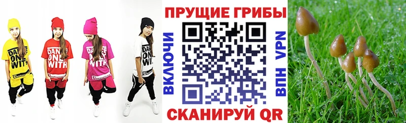 Галлюциногенные грибы Cubensis  площадка какой сайт  Вилючинск  блэк спрут ONION 