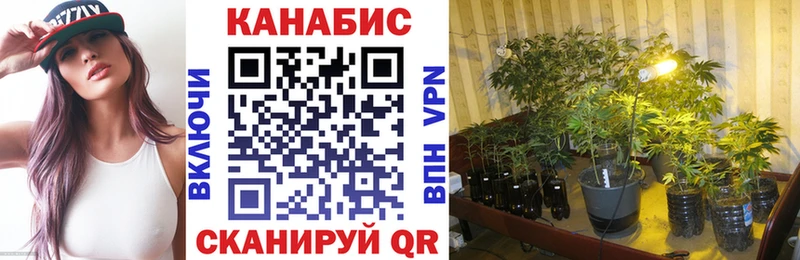 МАРИХУАНА гибрид  даркнет сайт  Вилючинск 